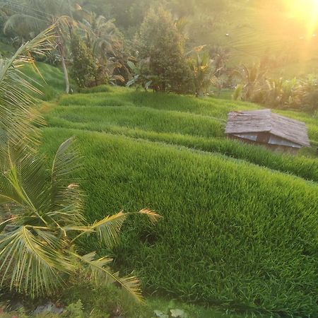 Gunza Bed And Breakfast Jatiluwih Ngoại thất bức ảnh