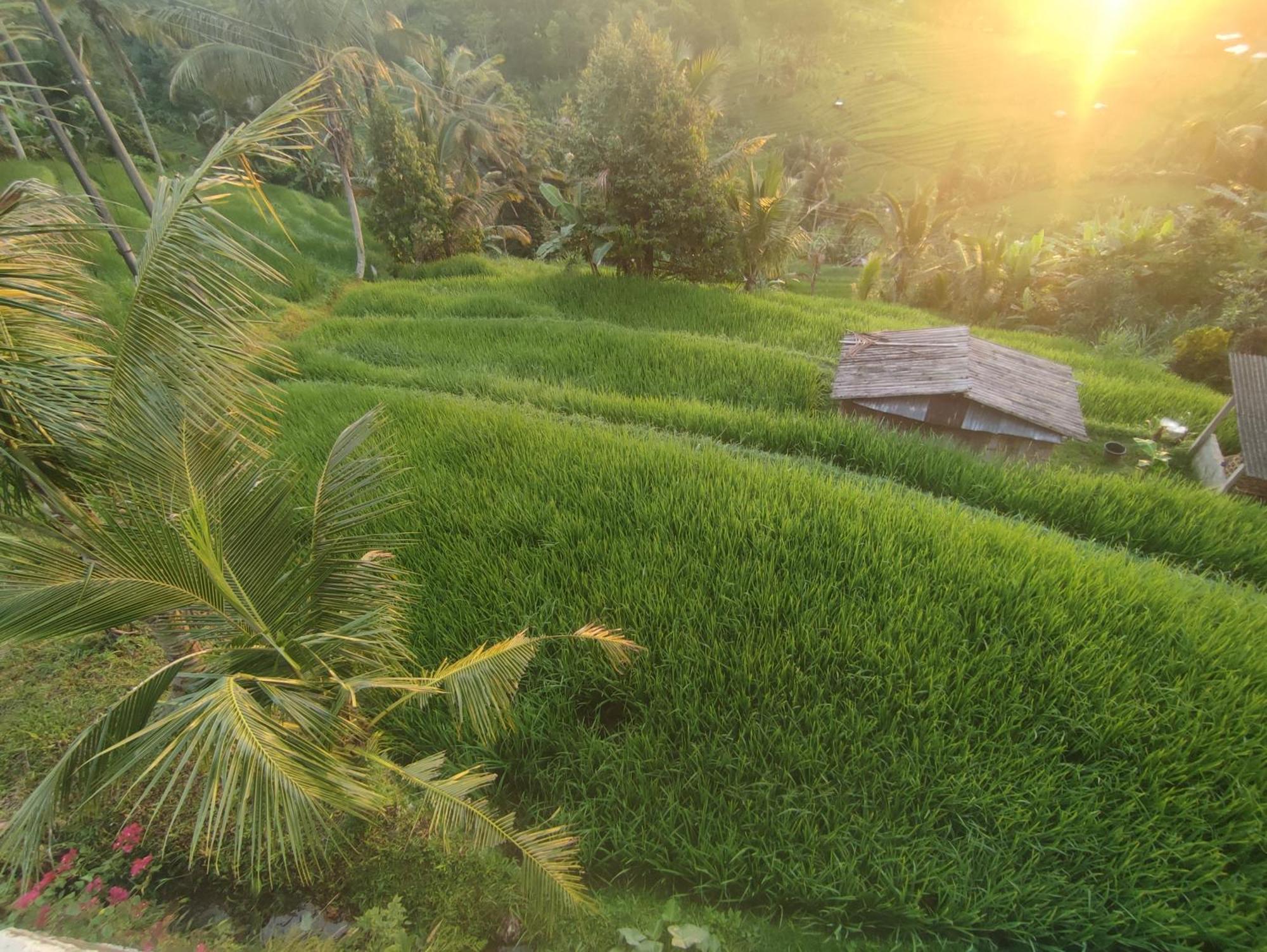 Gunza Bed And Breakfast Jatiluwih Ngoại thất bức ảnh